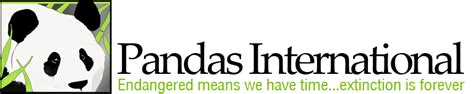 panda charity logo|Pandas International .